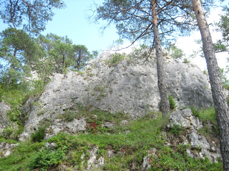 ../Images/2012-07-10-16h14m41 .jpg